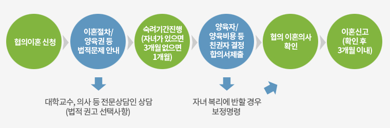민사,형사,가사